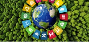 Infineum and the UN SDGs