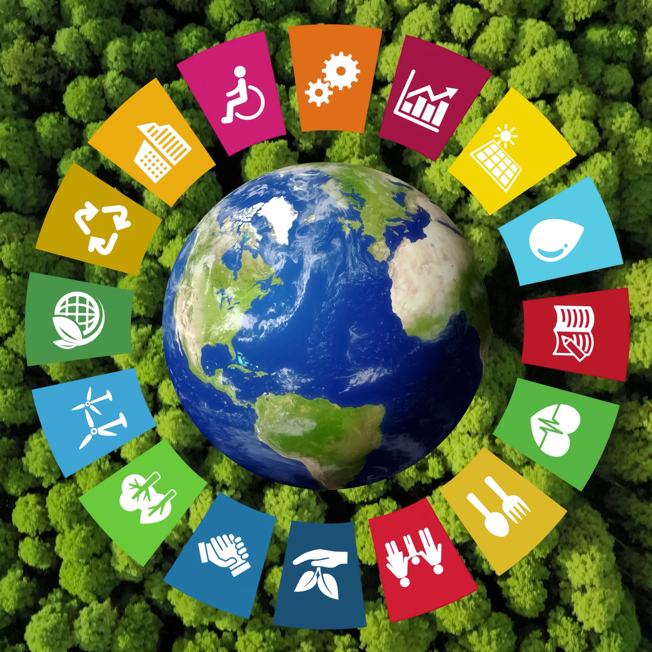 Infineum Japan’s Sustainable Development Goals Week: from awareness to action